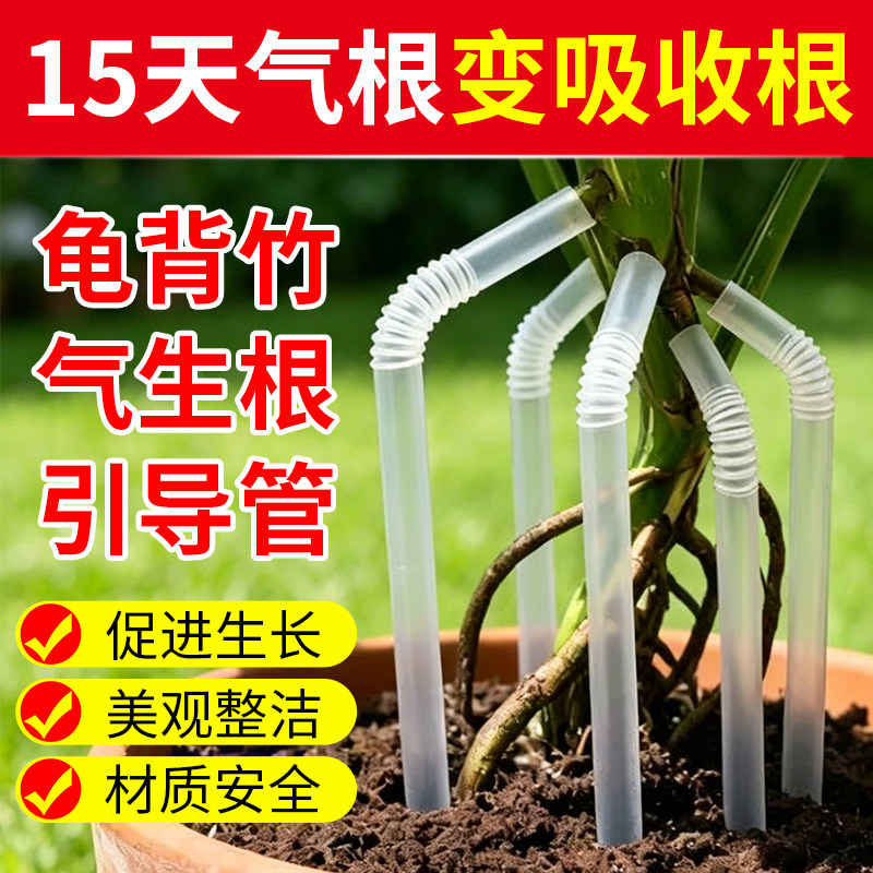 龟背竹气生根引导管包裹蝴蝶兰龟背竹支撑杆气根管热植固定支撑架