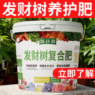 发财树专用复合肥叶子黄了怎么办治疗黄叶掉叶黄斑烂根花卉家用肥