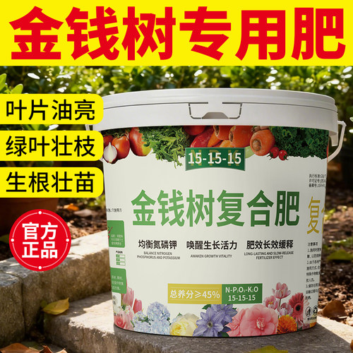 【促绿叶厚叶片】金钱树专用肥