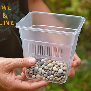 鱼缸水培固定篮龟缸水草定植篮植物水竹铜钱草绿萝兰花控根专用盆