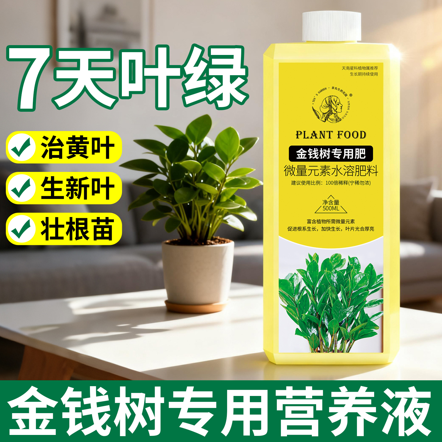【7天促绿叶】金钱树专用营养液