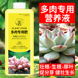 多肉营养液爆芽专用肥料肥营养肥料上色剂增色液通用型花肥促生长
