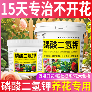 磷酸二氢钾肥料花卉专用正品 农磷酸二氢钾官方旗舰店通用养花肥料