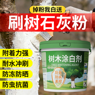 石灰粉刷树果树涂白剂树木专用防虫防冻刷白剂树干涂白粉石硫合剂