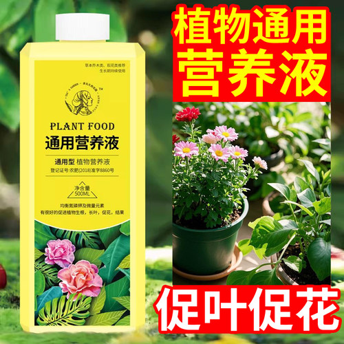 营养液植物通用型增根壮花绿植