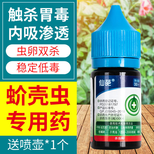 仙葩蚧壳虫专用药蚧必治小白虫