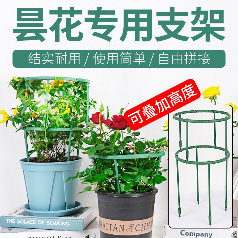 昙花专用支架植物防倒伏护叶