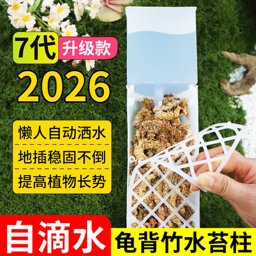 【自由拼接】龟背竹水苔柱
