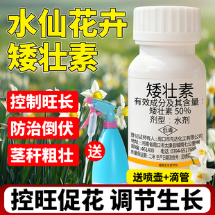 水仙花矮壮素花卉专用矮化素矮胖素控旺调壮素壮矮素水仙花矮壮剂