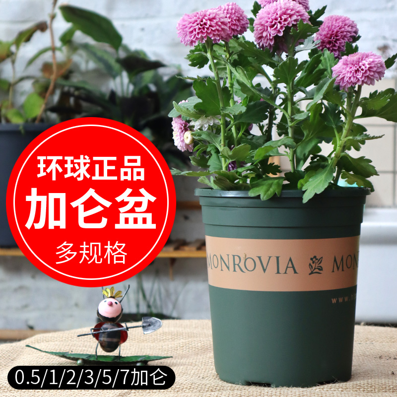 加仑盆花盆塑料控根盆环球