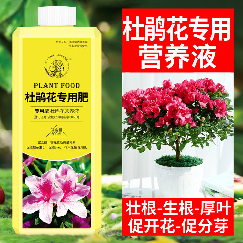 现货杜鹃花专用肥杜m鹃花肥料花卉营养液通用型养花肥料叶面肥花
