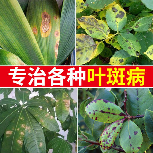 苯醚甲环唑黑斑病叶斑病专用药