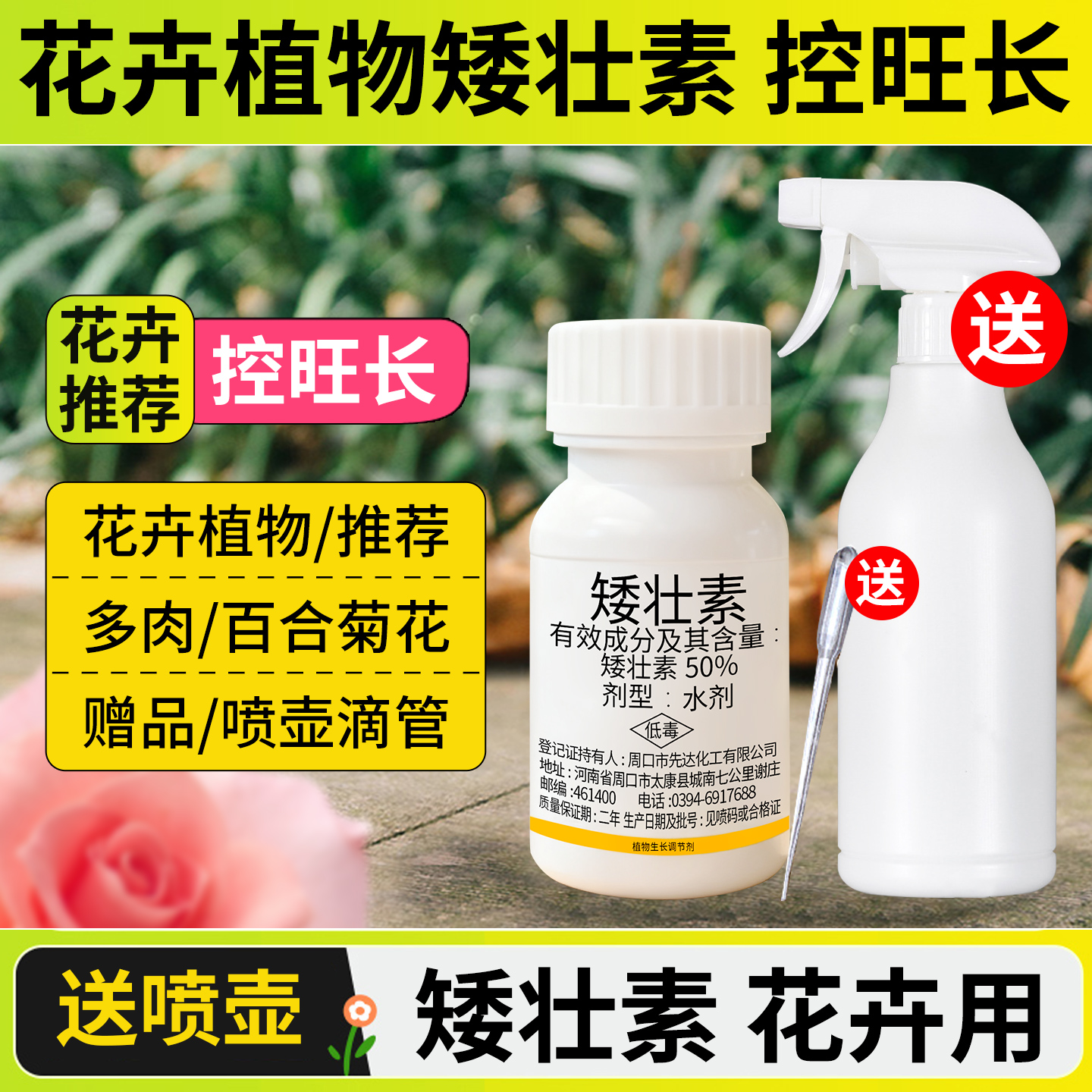 矮壮素花卉植物控旺长