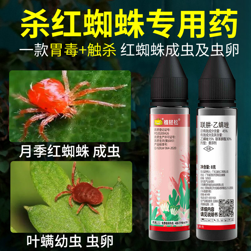 植轻松杀红蜘蛛专用药