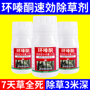 环嗪酮速效除草剂环秦铜灭树粉除树死树剂大树烂根竹子大树专用药