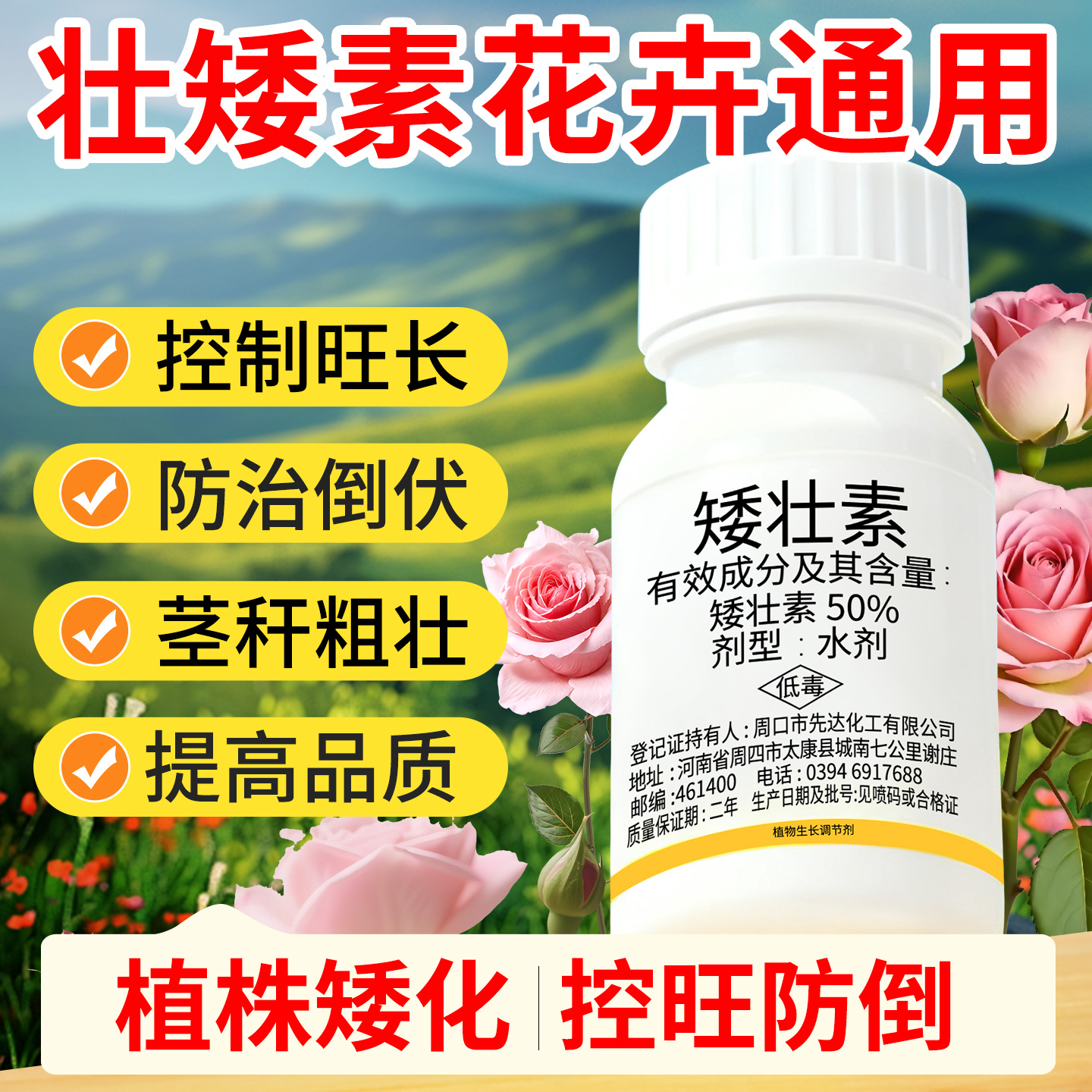 【花卉专用水仙花蔬菜】矮壮素