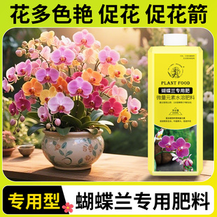 蝴蝶兰专用营养液促花箭开花肥水培专用肥料促进生根兰花植物通用