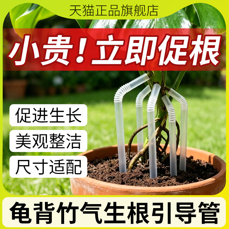 龟背竹气生根引导管补水管固定支撑架蝴蝶兰支撑杆热植花架气根管