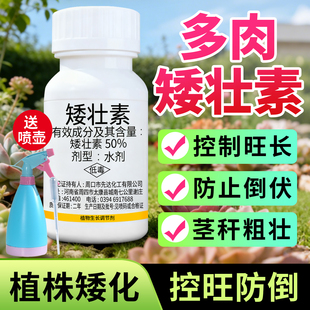 多肉矮壮素花卉专用水仙菊花蔬菜油菜控梢调节剂矮胖素矮壮剂控旺