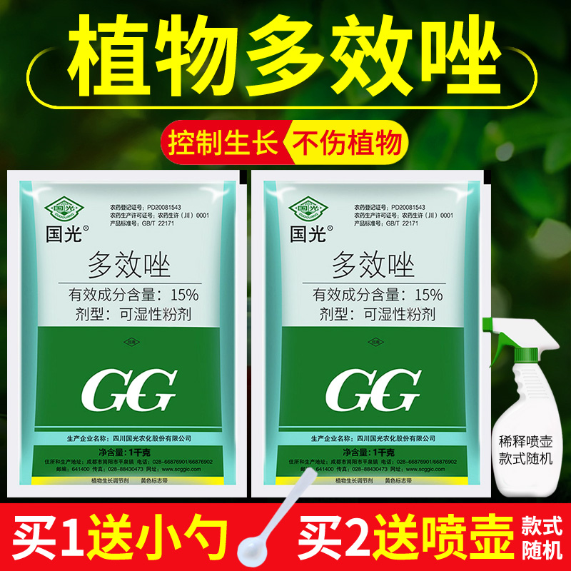 国光多效粉剂玉米矮壮素植物