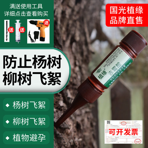 国光植缘赤霉酸柳树杨树抑制开花