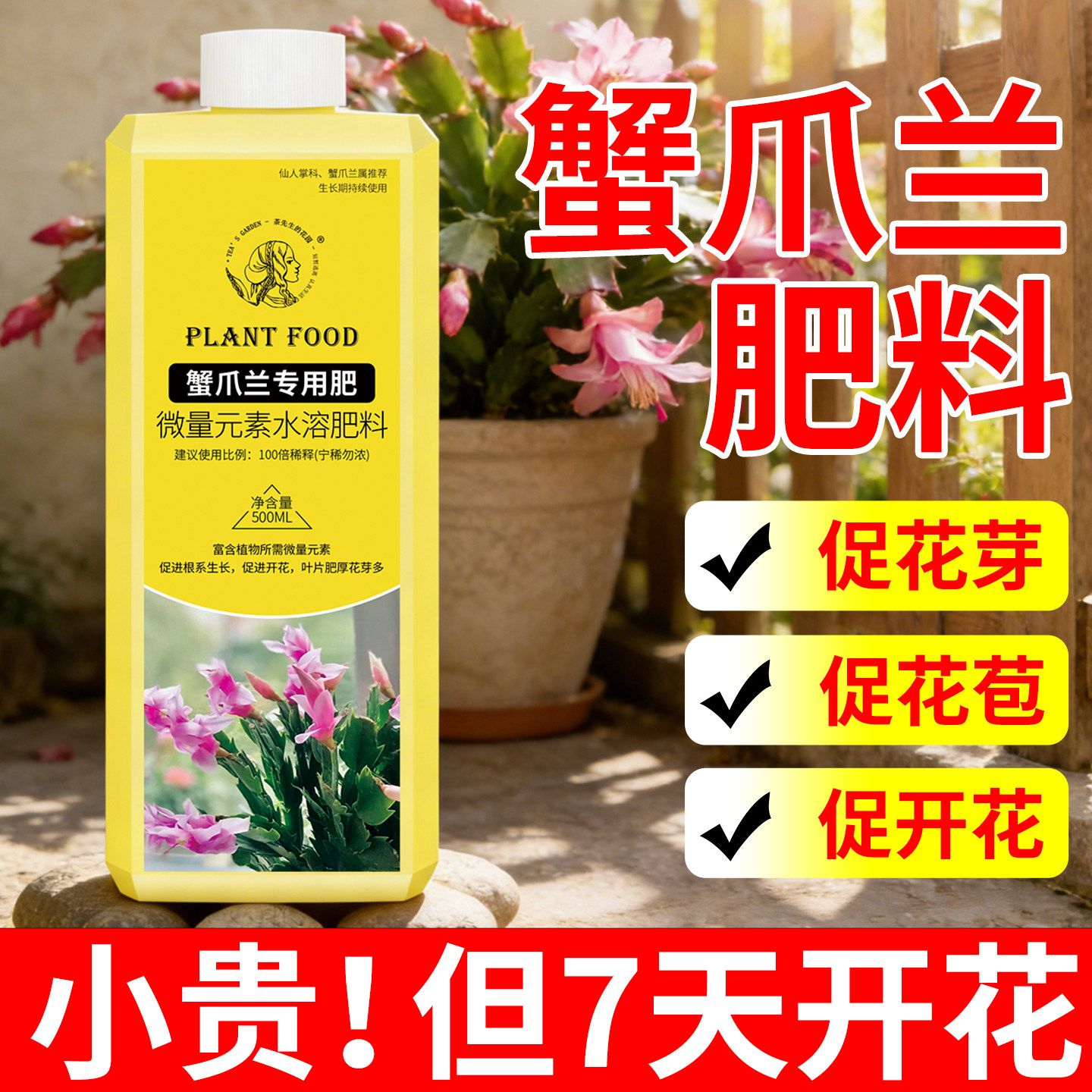 蟹爪兰专用肥料营养液花肥用什么肥料干瘪黄叶促开花绿叶花卉绿植,鲜花速递/花卉仿真/绿植园艺,家庭园艺肥料,淘宝优惠券,粉丝福利购,淘宝优惠卷