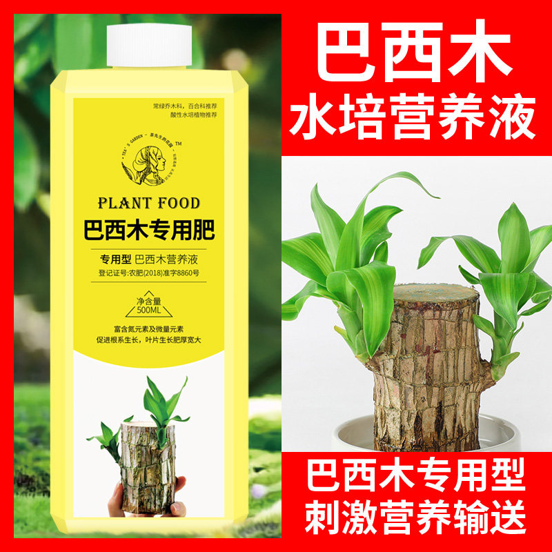 速发木营养液养水培养植物幸运木专用营养液水花肥料盆栽通用