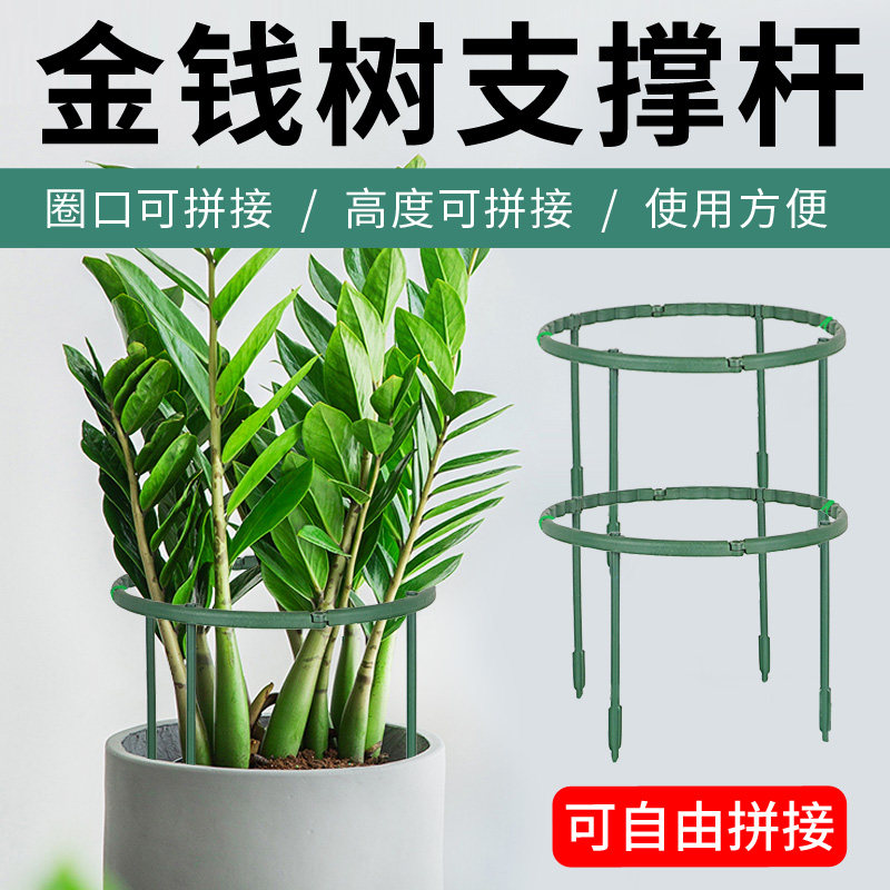 金钱树支撑杆可调节花架植物花盆支架托架兰花蟹爪兰昙花专用支架图片