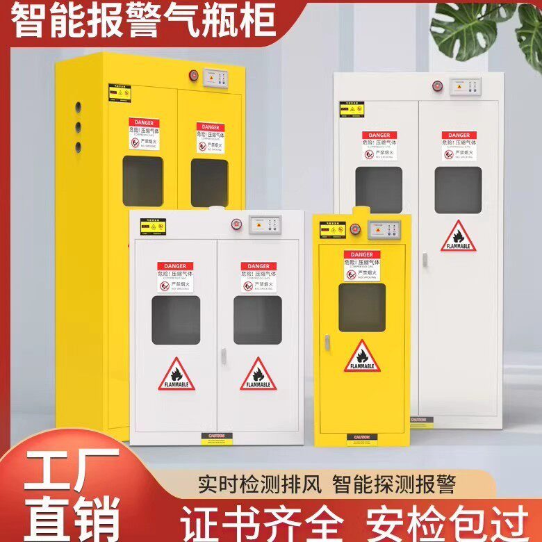 全钢气瓶柜安全柜实验室储存图片