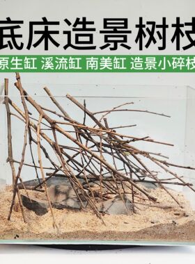 南美缸底床造景装饰树枝香槟树枝黄梨枝南美树枝耐泡原生缸