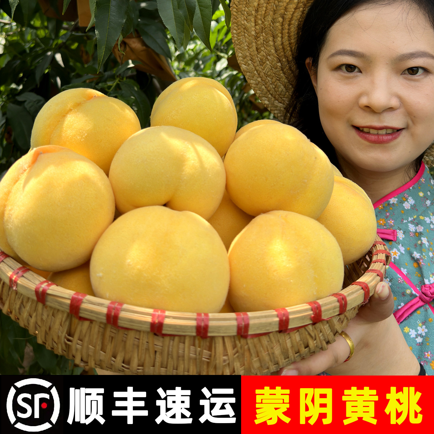 黄桃新鲜水果山东蒙阴现