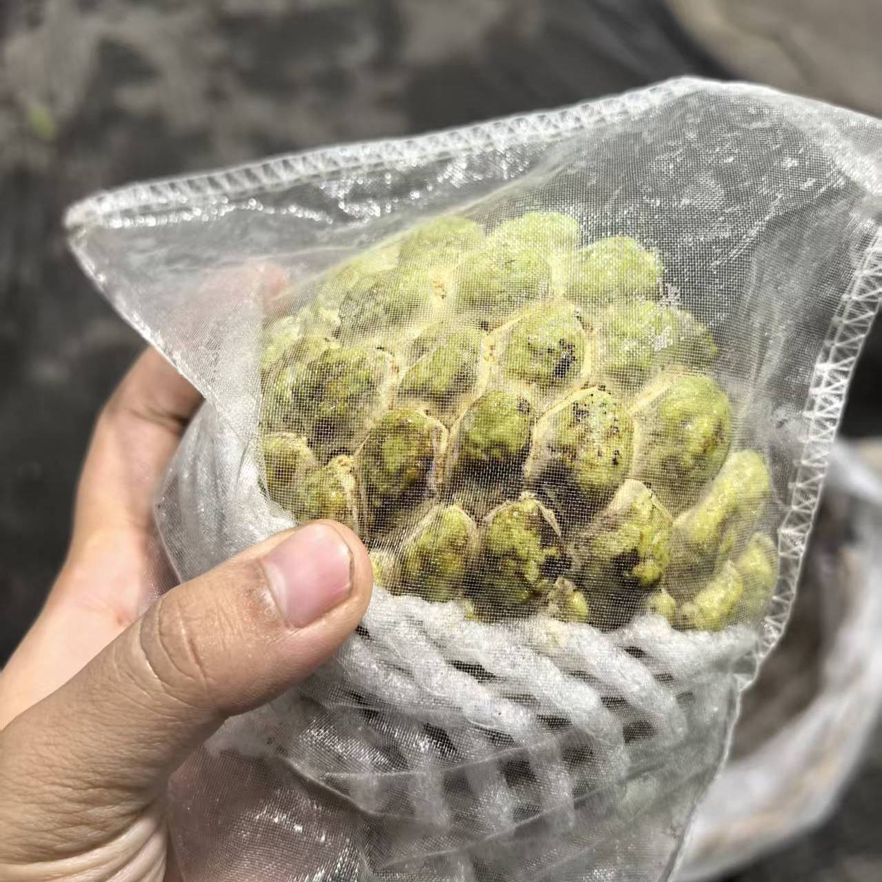 微瑕果顺丰潮汕大目释迦