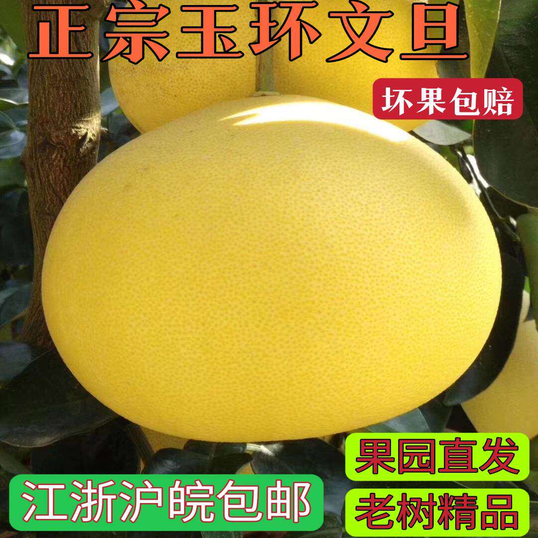 玉环文旦柚子包邮白心蜜