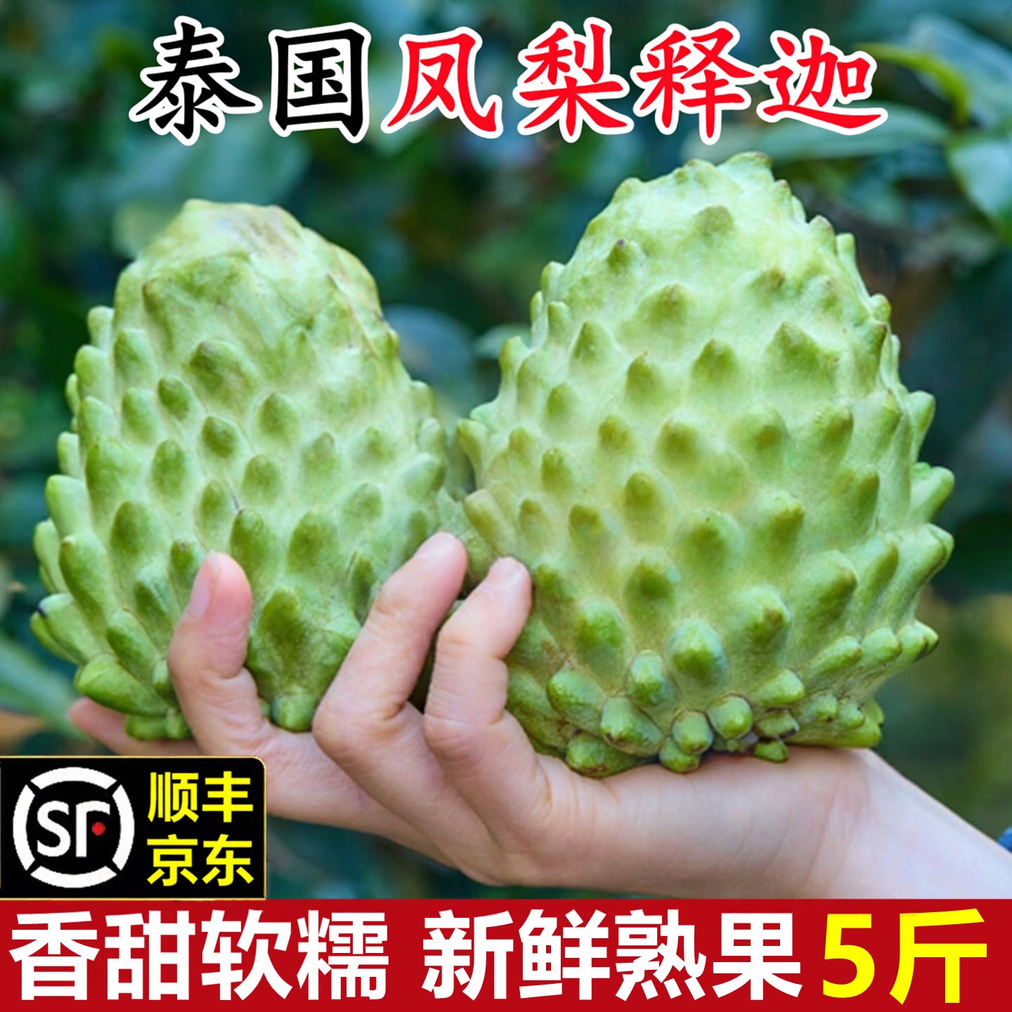 泰国凤梨大目释迦果新鲜