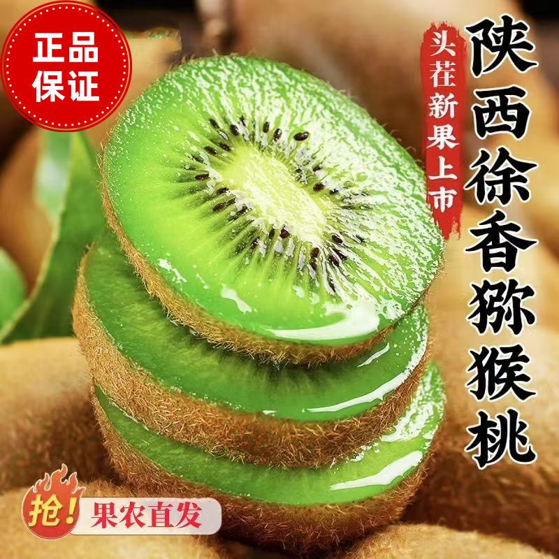 陜西渭南徐香绿心奇异果