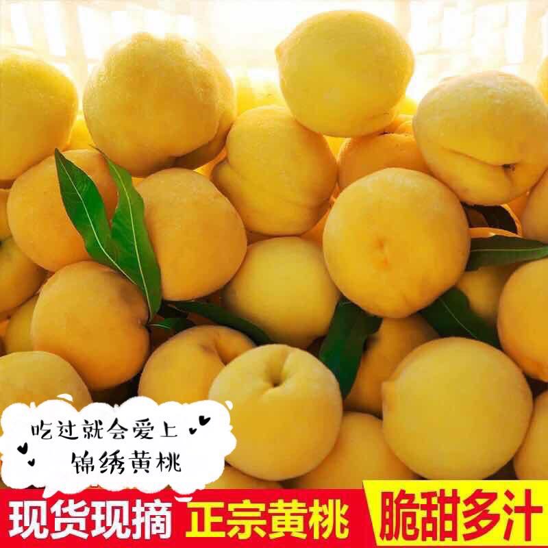 潜江特产总口锦绣黄桃新