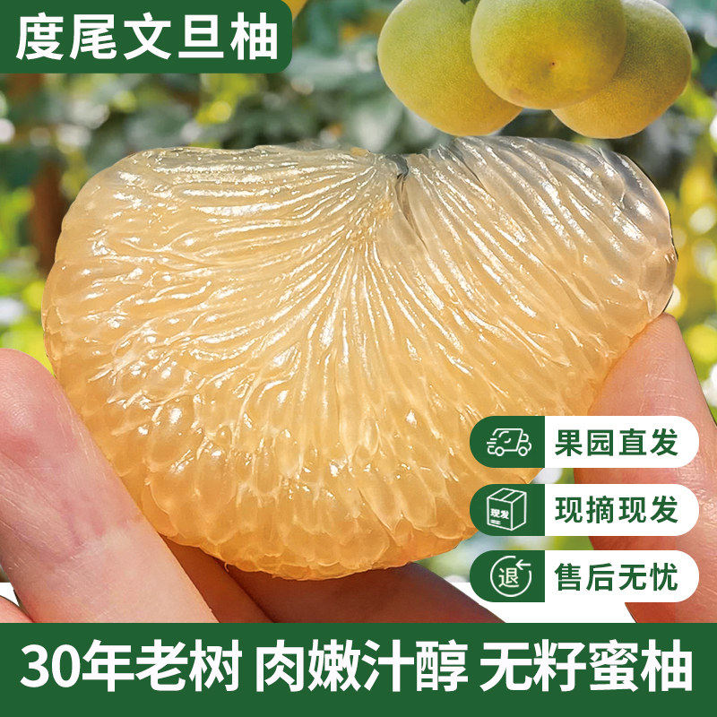 莆田仙游度尾文旦柚当季