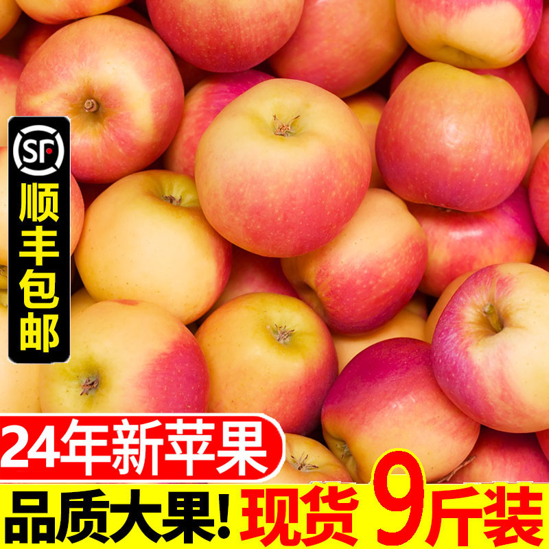 苹果红富士嘎啦新鲜当季现摘应季