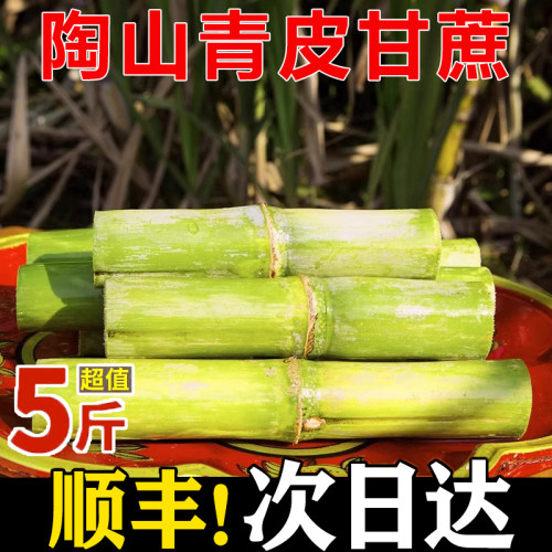 顺丰陶山甘蔗新鲜青皮绿皮甘蔗现砍孕妇新鲜水果应季整箱脆甜果蔗