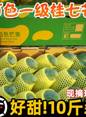 【自家果园】正宗广西百色田东桂七芒果新鲜现摘当季水果整箱9斤