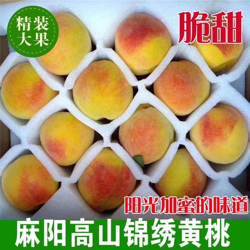 湖南怀化麻阳高山锦绣黄