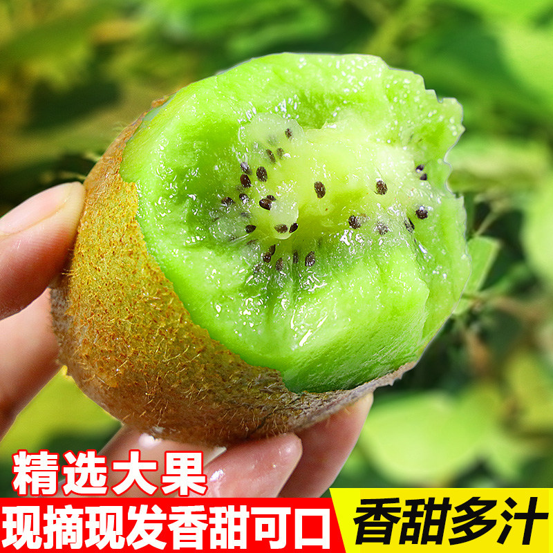正宗徐香猕猴桃绿心西峡