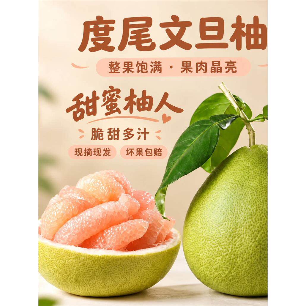 福建仙游度尾文旦柚老树