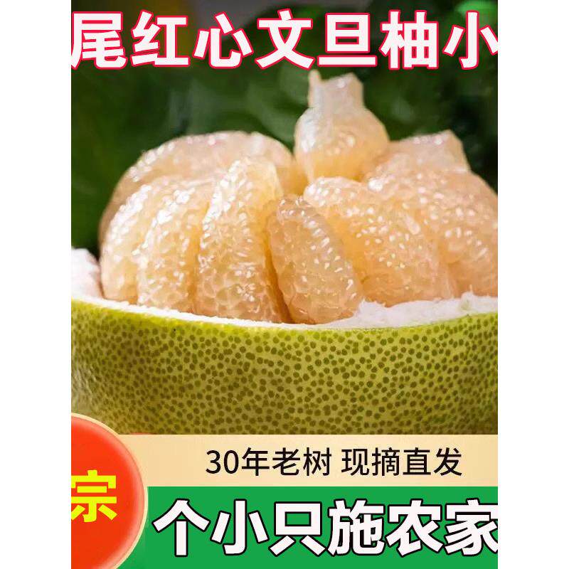 莆田仙游度尾文旦柚当季