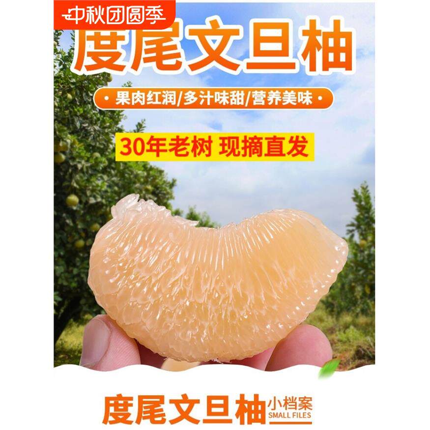 福建莆田仙游度尾文旦柚