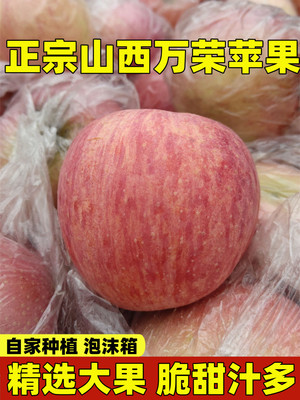 山西运城脆甜冰糖心红富士苹果