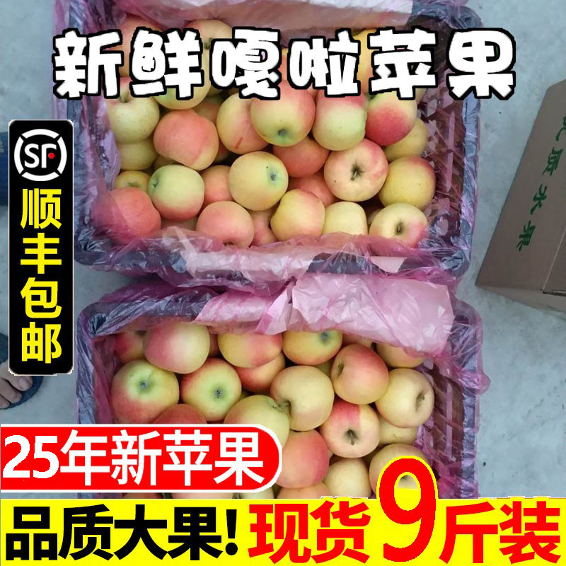 正宗嘎啦苹果10斤新鲜当季水果整箱包邮红富士脆甜冰糖心丑平萍果