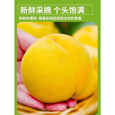 黄桃新鲜水果山东蒙阴黄