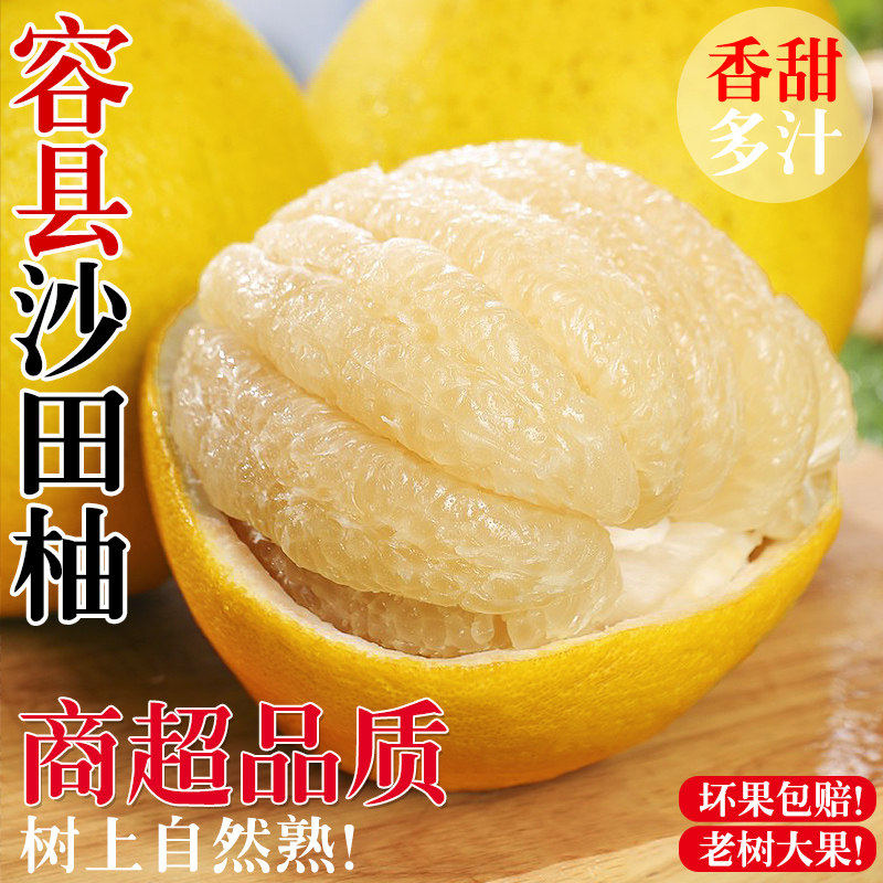广西容县沙田柚正宗白肉