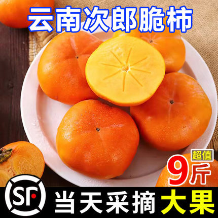 保山甜柿云南脆柿子新鲜冰糖心脆柿子苹果脆柿硬柿子3-9斤礼盒装